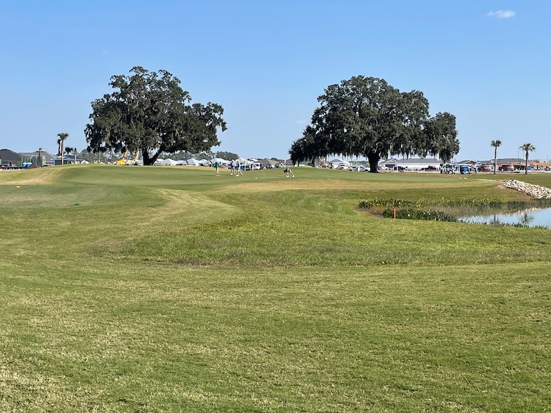 Scenic par 3 green with oak trees at Woodlands Golf Course The Villages